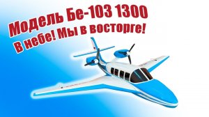 Модель Бе-103 1300 в небе / Мы в восторге! / ALNADO