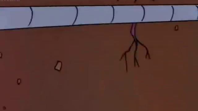 Wheres The Any Key смотреть онлайн