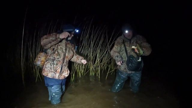 В ЭТОЙ ЗАВОДИ РЫБА ПРОСТО КИШИТ ПОД НОГАМИ | ДИКИЙ ЖОР НАЛИМА | ОСЕННЯЯ ЛОВЛЯ НАЛИМА НА ДОНКИ смотреть онлайн