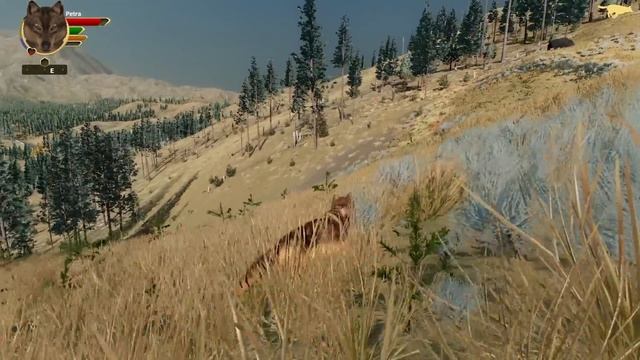 Journey of the Lost [Lost River DLC] | WolfQuest: Petra's Quest Season 2 #1 смотреть онлайн