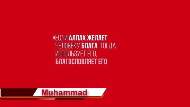 100K Muhammad 4.mp4 смотреть онлайн