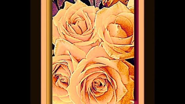 Ode to a Rose смотреть онлайн