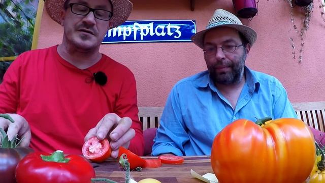 Diese Tomaten Brauchst Du Im Garten - Alte Sorten Gegen F1-Hybrid-Tomate - Beste Tomaten 2020
