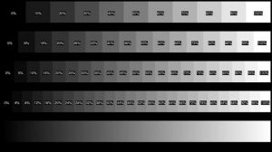 Видео для тестов проектора 1080p