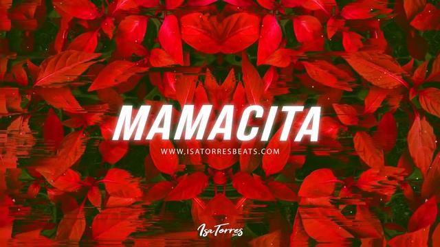 [FREE] J Balvin x Dancehall Reggaeton Type Beat 2019 - "Mamacita" | Isa Torres смотреть онлайн