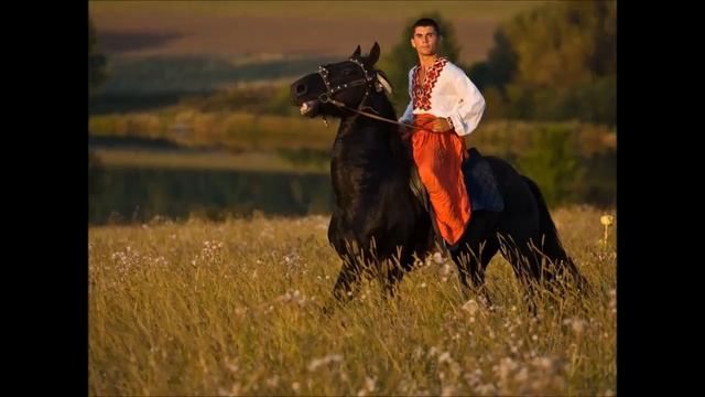 Песня - По дону гуляет казак молодой смотреть онлайн