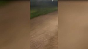 Serbian Dancing Lady Trend | New TikTok Compilation 2023