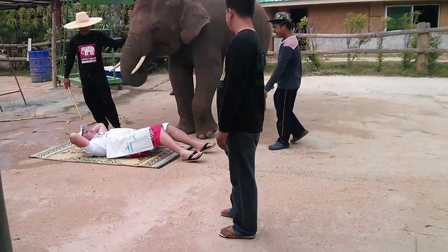 Паттайя. Слоновья ферма. Шоу. 2 смотреть онлайн