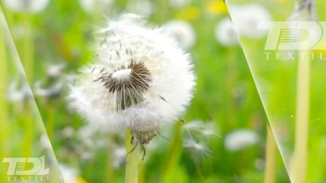 Постельное белье "Василиса" в Атриуме на 3 этаже! смотреть онлайн