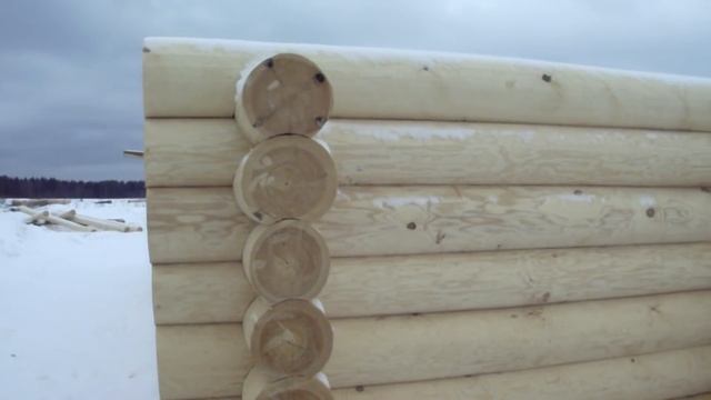 Строим деревянный дом//зимний лес или летний?//в чём разница??? смотреть онлайн