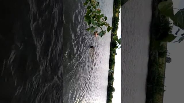 Учимся плавать смотреть онлайн