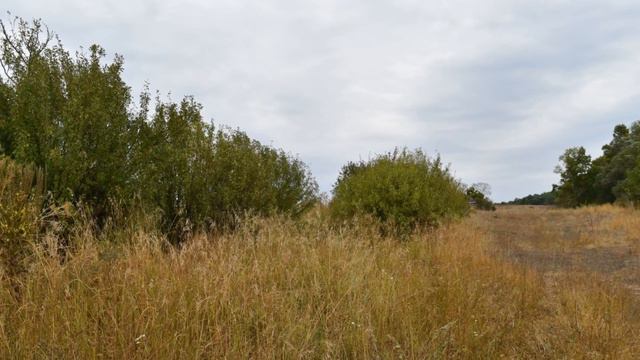 Покинутый рай смотреть онлайн