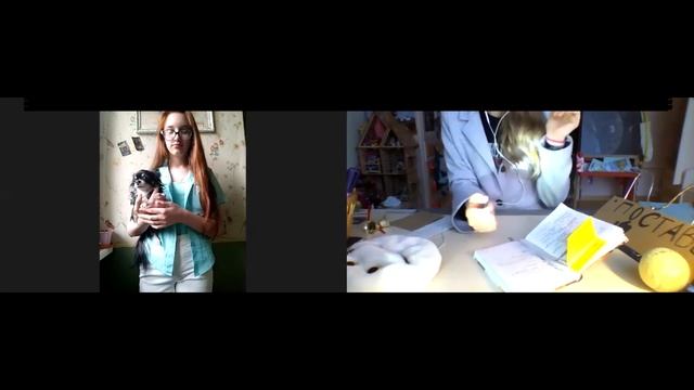 ЧИХУАХУА ОПИСАНИЕ ПЛЮСЫ И МИНУСЫ смотреть онлайн