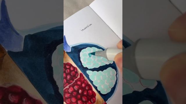 Как вам кажется, какую половинку было рисовать сложнее? #art #painting #drawing #markers #arttour смотреть онлайн