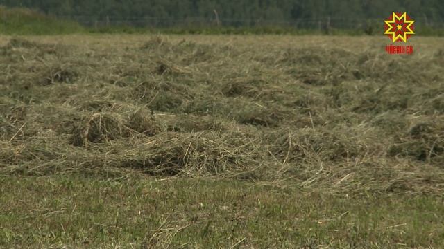 Выльăх валли утă хатĕрлеççĕ смотреть онлайн
