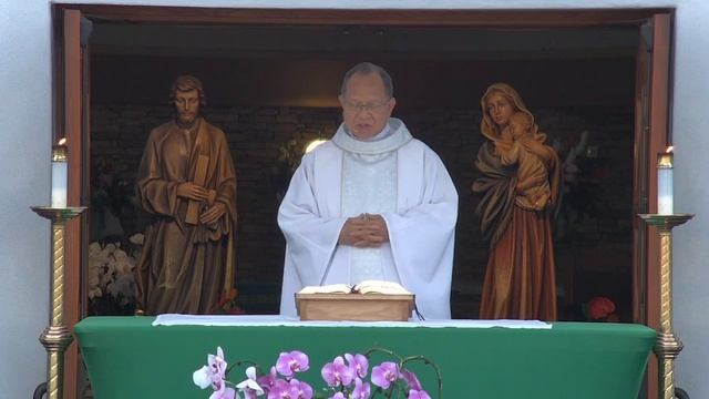 6pm-- Benediction & Novena; 6:30pm -- Wednesday Of The Twenty-first Week In Ordinary Time