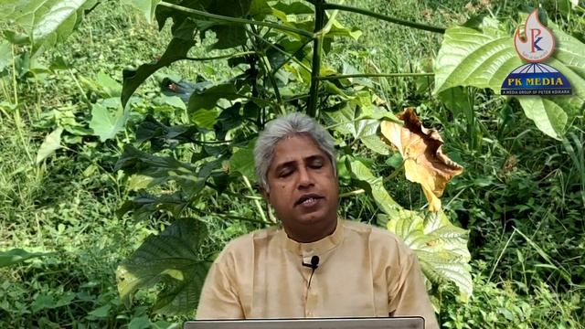 കൃഷ്ണകിരീടം | Red Pagoda | Clerodendrum paniculatum, ഹനുമാൻ കിരീടം | പെരു | രാജകിരീടം | കൃഷ്ണമുടി смотреть онлайн