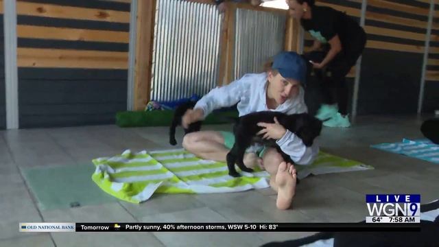 Around Town - Puppy Yoga смотреть онлайн