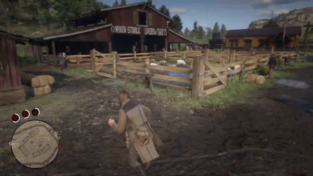 Red Dead Redemption 2 , Где найти самое редкие оружия в начале игры