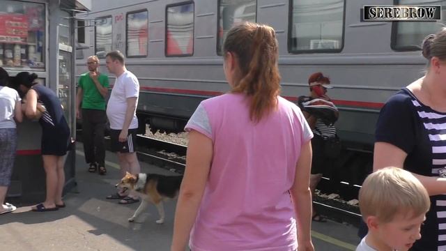 #serebrow / Море на Троих /часть2/ поезд 517м / Москва-Анапа / (№23) смотреть онлайн