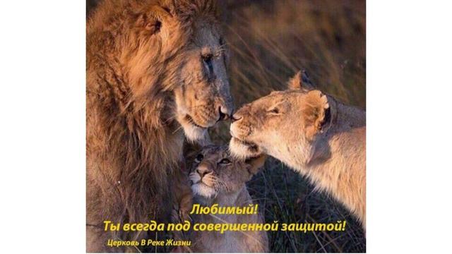 Сверхъестественно погашен кредит 200 тыс. Кира. 21.05.2022 Ст.пастор Людмила Мастерова смотреть онлайн