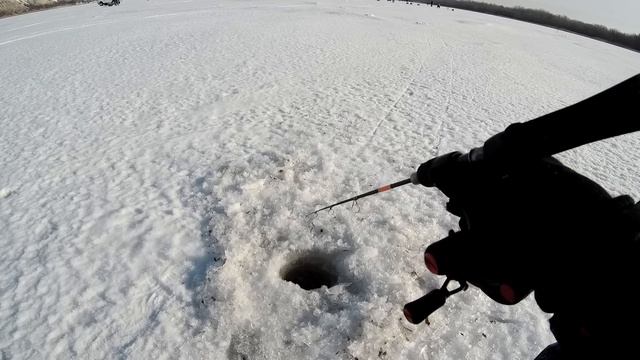 ЗИМНЯЯ РЫБАЛКА НА СУДАКА В ГЛУХОЗИМЬЕ! ЭХОЛОТ ПРАКТИК 8 V2 смотреть онлайн