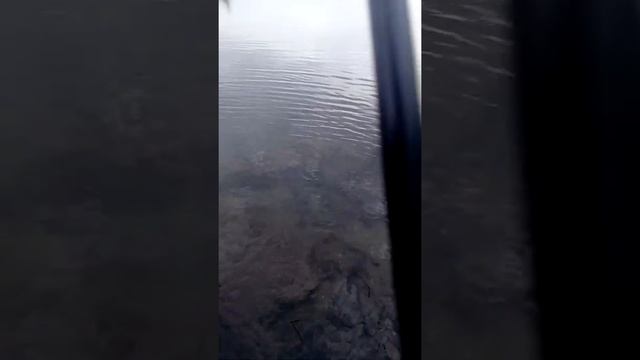 Ловля щуки на малас платные пруды смотреть онлайн
