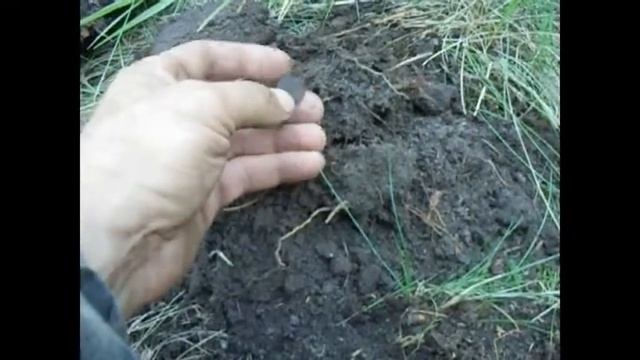 Коп с Аськой 250 смотреть онлайн