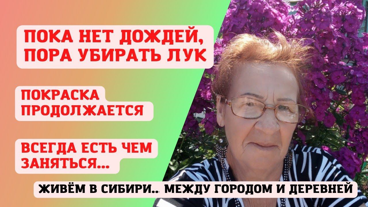 12.08.2022 Пока нет дождей, пора убирать лук. Работы продолжаются...