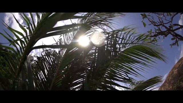 Sterkowski - A Trip to Vietnam смотреть онлайн