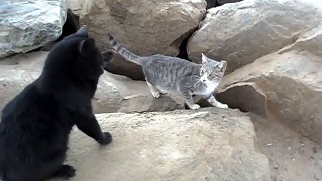 Фильм ДЛЯ ТЕБЯ и МОИХ ДРУЗЕЙ.2012.ЭЙЛАТ..wmv