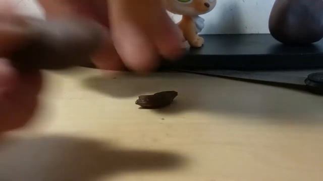 МК на медведя ( колли). смотреть онлайн