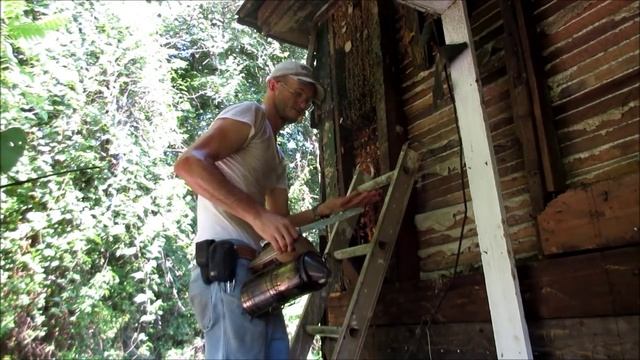 Colony Removal Danville Virginia смотреть онлайн