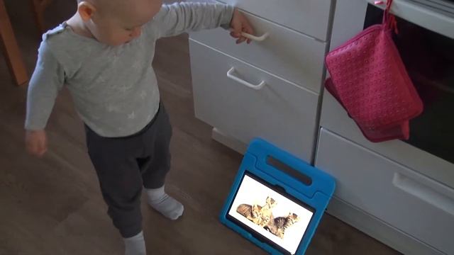 ЛЮБИМЫЙ МУЛЬТИК ЭЛИАСА. Скучает, пока Лукас в больнице смотреть онлайн