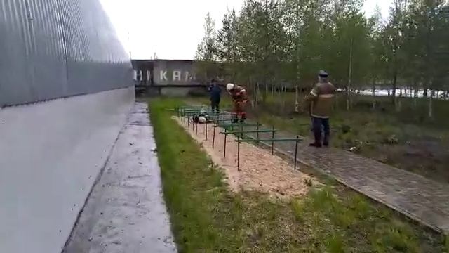 Псп эстафета смотреть онлайн