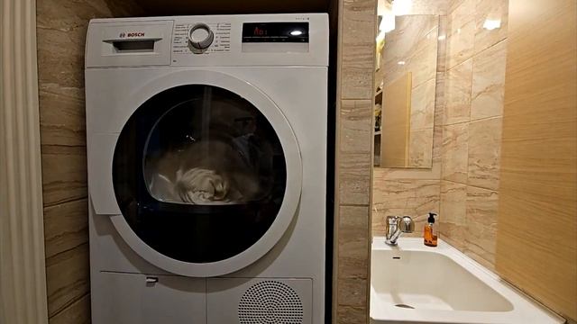 Сушильная машина с тепловым насосом. Не покупай, пока не посмотришь. смотреть онлайн