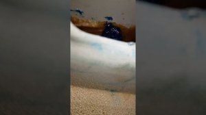 Вода затекает в салон шкода октавия А5