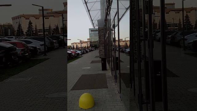 Почему уровень витамина Д в крови ни о чем не говорит? смотреть онлайн