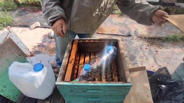 нуклеус Джинн горизонтальное заселение и пчелопавильон смотреть онлайн