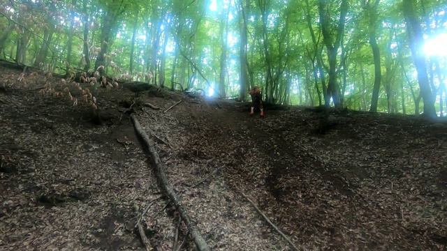 Эндуро!!! Лесные движения😁💪