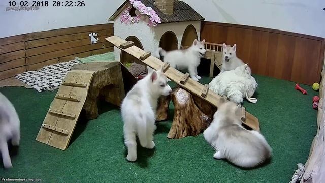 2018-02-10 19-45-55(звук) смотреть онлайн