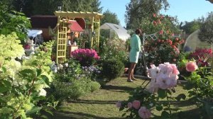 6 соток 5 августа 2023 года. Хроника.