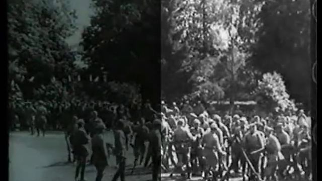 Лесная быль 1926 Белгоскино реставрация смотреть онлайн