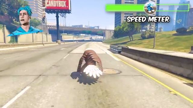 Slowest To FASTEST ANIMAL EVER In GTA 5! смотреть онлайн
