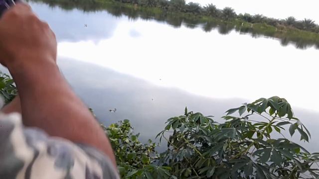 Shimano Aldebaran BFS XG -DUO Tetra Works Yurameki 6.5g Long Cast смотреть онлайн