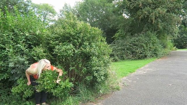 Giant Snake Attack In Real Life!! Terrifying!! смотреть онлайн