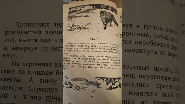 Зимой И.Соколов-Микитов Книга-календарь 1949 года #букинист #антиквариат смотреть онлайн