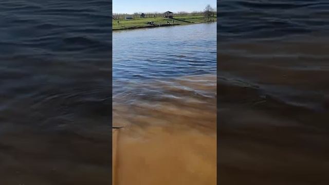 Рыбалка в Подмосковье на платном водоеме,май 2021. смотреть онлайн