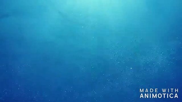 Под водой