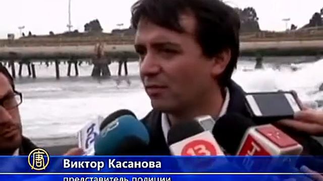 Тысячи мёртвых омаров вымыло на берег Чили смотреть онлайн